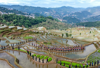 1300-year-old agricultural ecosystem shines in SW China