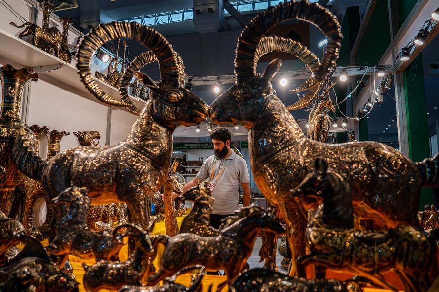 Expo showcases South Asian cultural delight in Kunming
