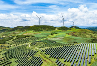 China's Guizhou strives to transform ecological advantages into developmental strengths