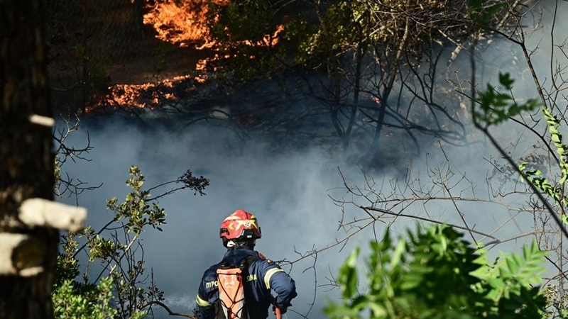 Heat, drought, negligence: drivers of Europe