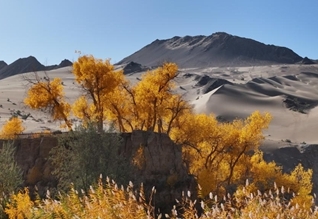 Autumn scenery across China