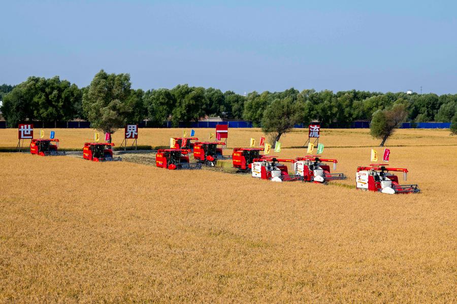 China's tech-empowered grain farming bolsters food security