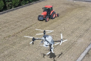 Autumn grain harvest, winter wheat sowing advance across China