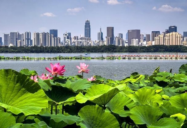 Building on green gains, roadmap charts next five years for a Beautiful China