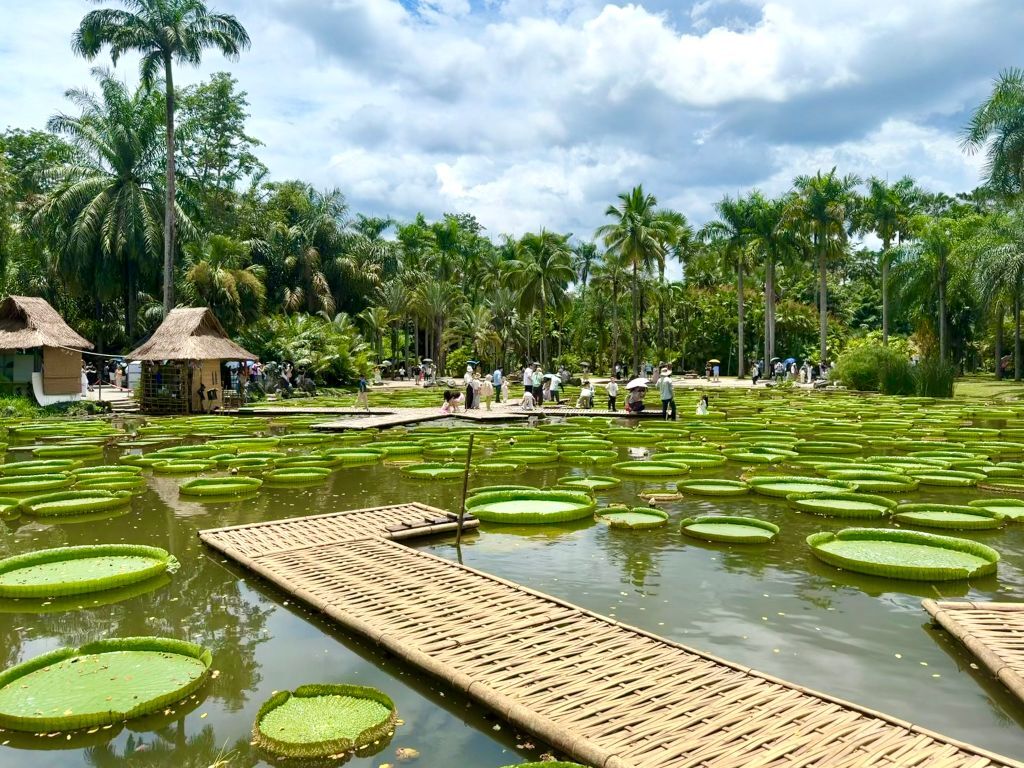 China's botanical garden bridges borders for biodiversity conservation