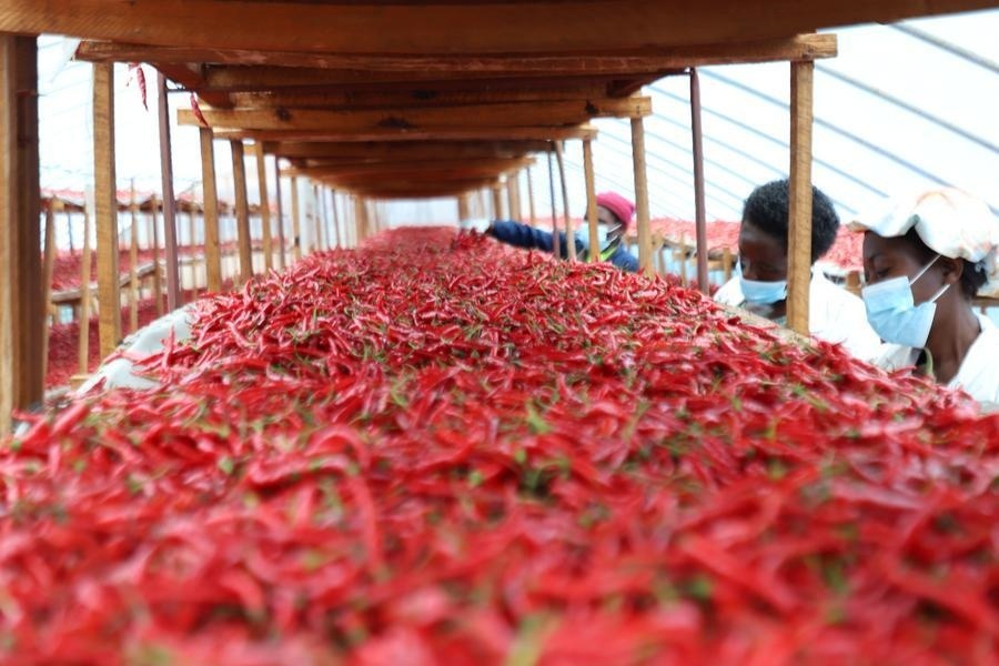 African exporters reap early benefits of China