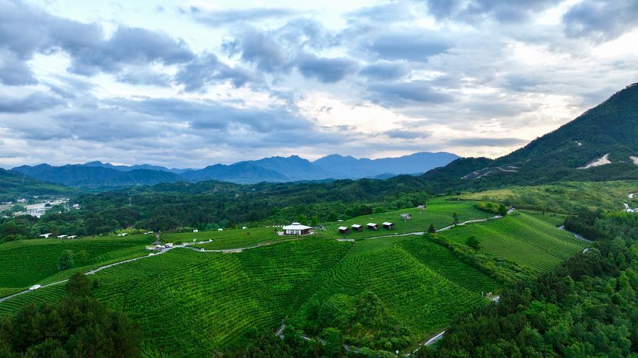 China reports steady consolidation of poverty alleviation gains