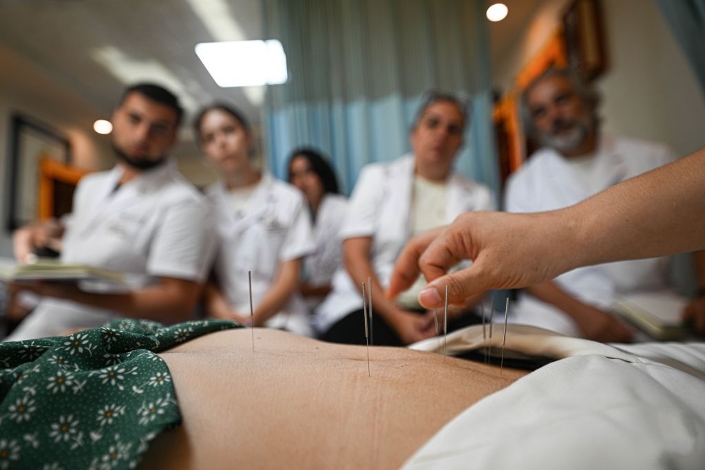 International visitors embrace TCM in Sanya