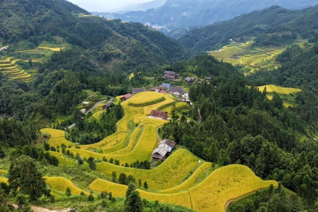 Farmers busy with autumn harvesting across China
