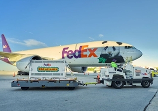 Pair of Chinese giant pandas arrives in U.S. city Atlanta