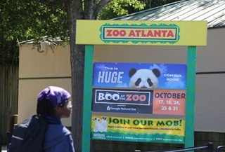 Feature: Locals in U.S. city Atlanta eager to meet newly arrived giant pandas from China