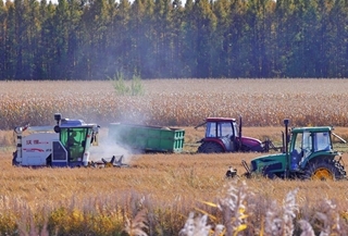 Farmers across China busy with autumn harvest, sowing
