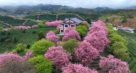 Chinese economy forges ahead with progress in 2025